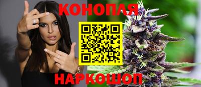 сатива Кимры
