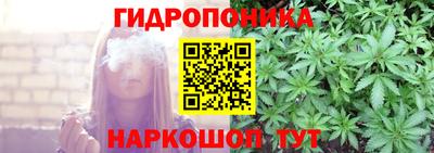 герыч Кингисепп
