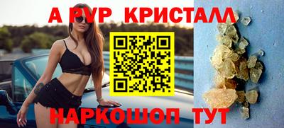 герыч Кингисепп