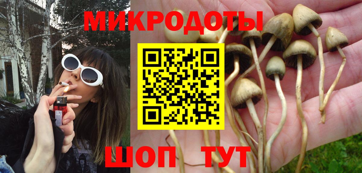 Котовск  Галлюциногенные грибы Psilocybine cubensis  Псилоцибиновые грибы мицелий  Вход с VPN 