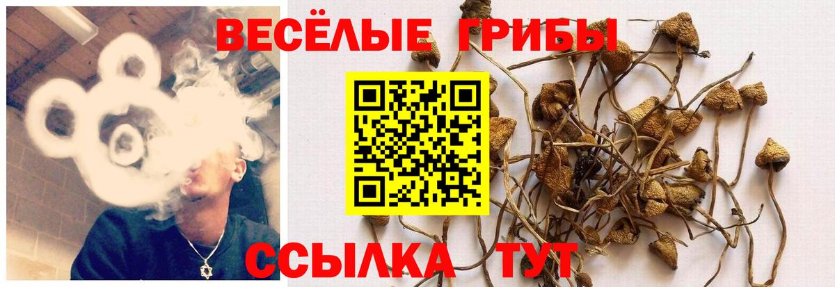 Галлюциногенные грибы мицелий Котовск
