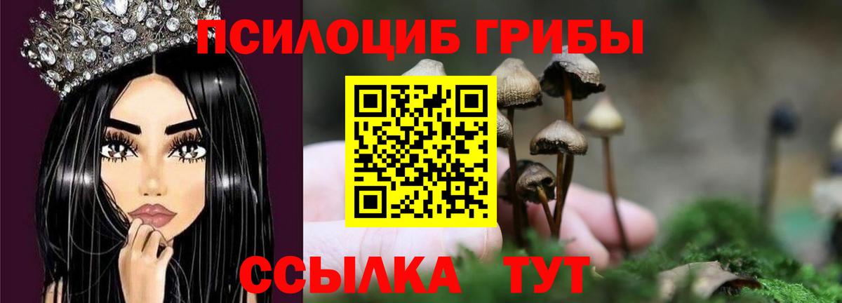 Галлюциногенные грибы Cubensis  Котовск  Псилоцибиновые грибы Psilocybine cubensis 