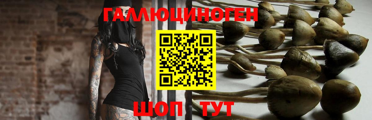 Галлюциногенные грибы ЛСД Котовск